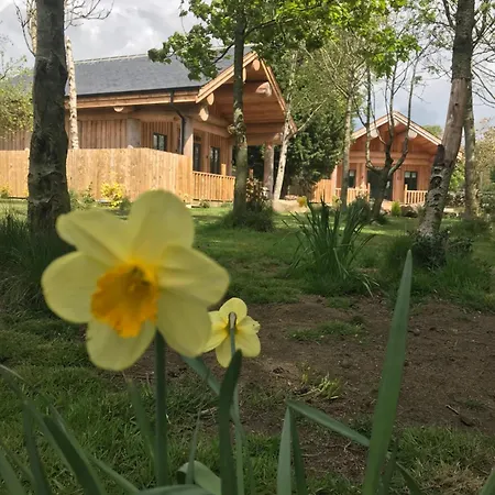 Braisty Woods - Knotty & Harrogate