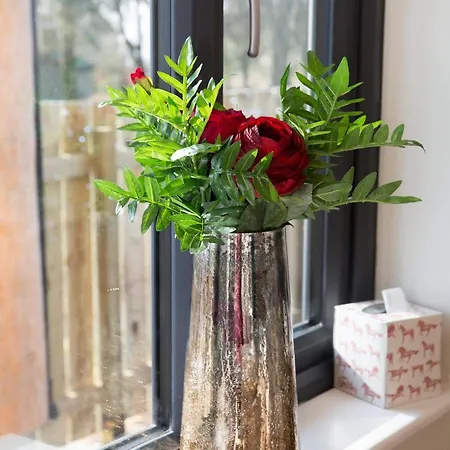 Braisty Woods - Knotty &