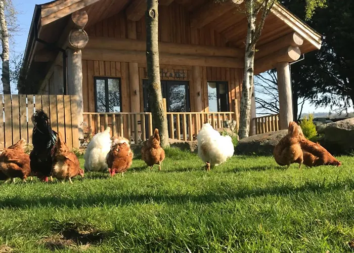 펜션 Braisty Woods - Knotty & 해러게이트