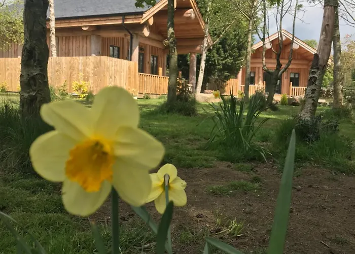 Braisty Woods - Knotty & 해러게이트