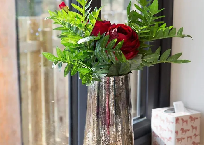 Braisty Woods - Knotty &