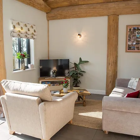 Braisty Woods - Knotty &